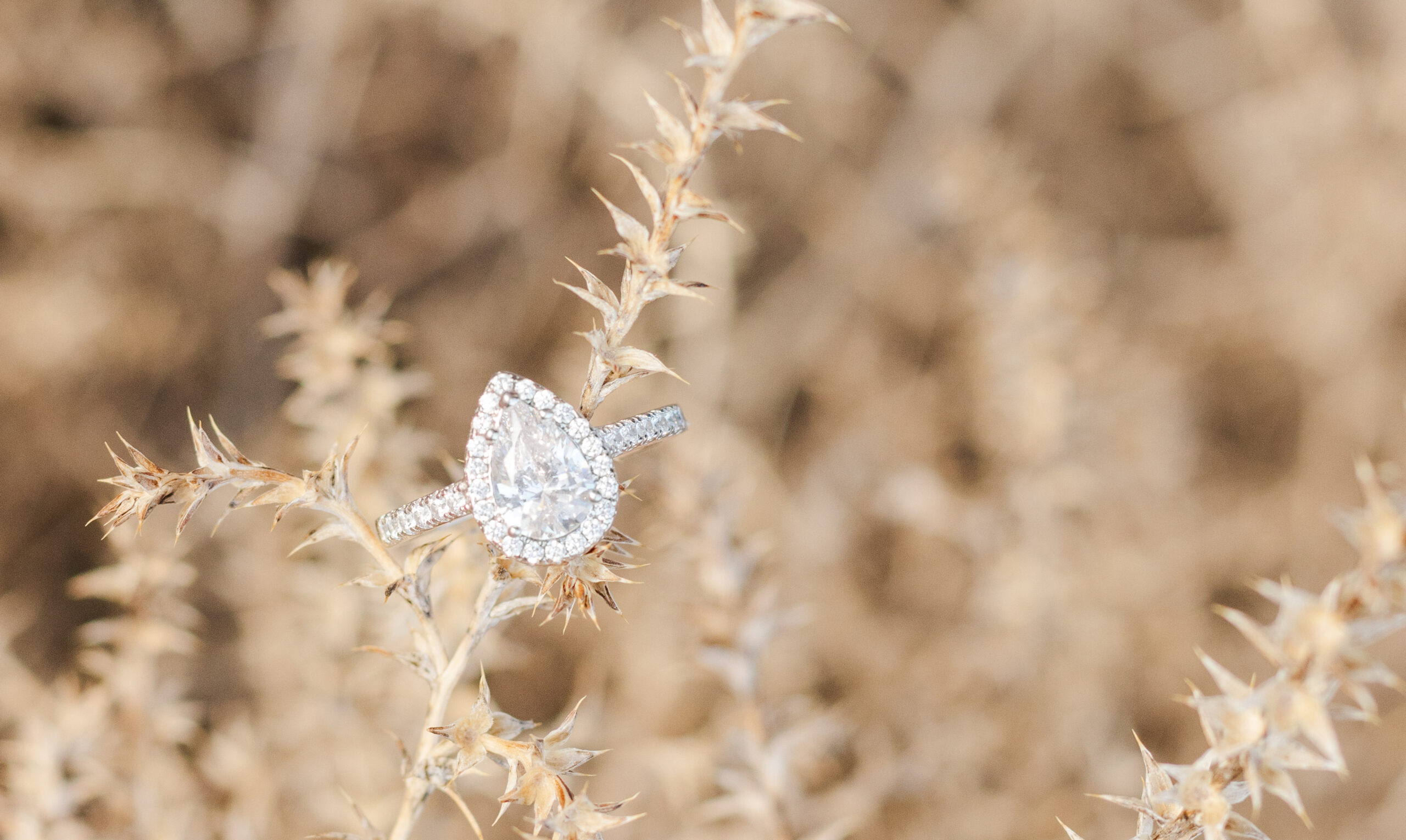 Wedding Ring Shot in Texas as a Dallas–Fort Worth Wedding Photographer